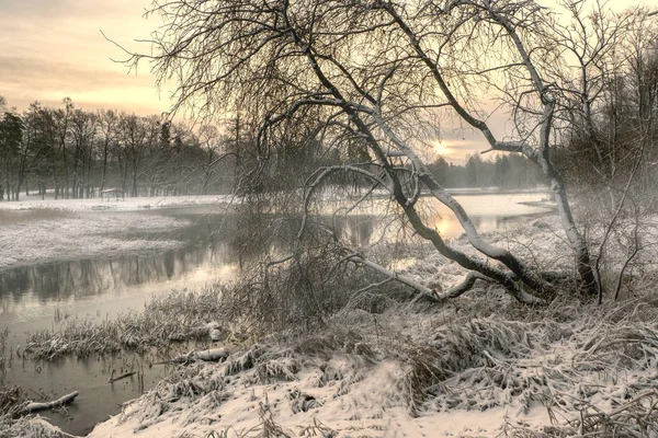 Mattina invernale sul lago con nebbia e alberi — Foto Stock