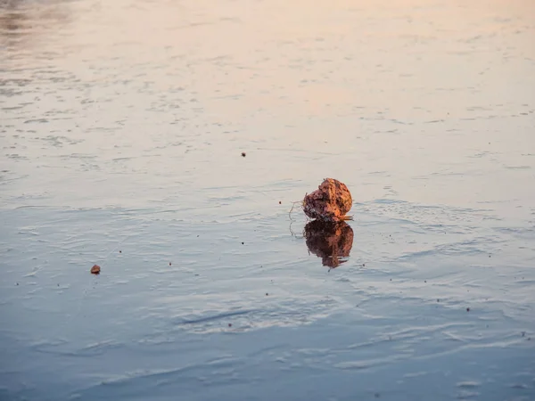 Lago ghiacciato con piccola roccia ricoperta di ghiaccio — Foto Stock