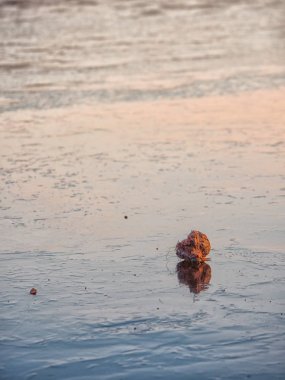 Buzla kaplı küçük kayaile donmuş göl