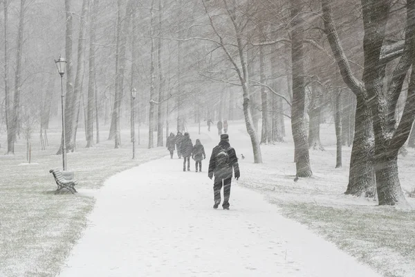 Люди под снегом в зимнем парке . — стоковое фото