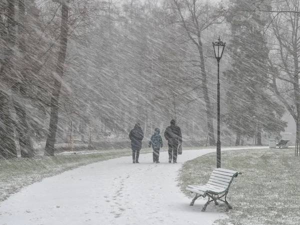 Люди под снегом в зимнем парке . — стоковое фото