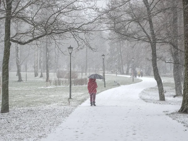 Люди под снегом гуляют под зонтиками в зимнем городском парке . — стоковое фото