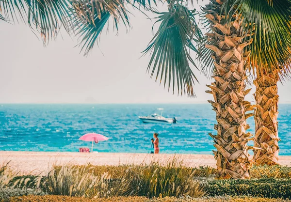 Strand mit Palme, Pier und Boot am arabischen Golf. — Stockfoto