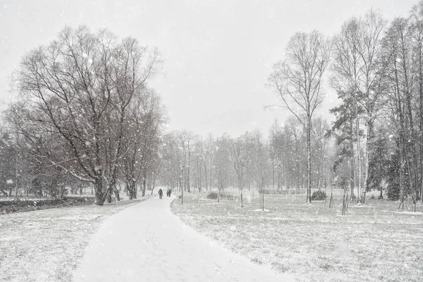 Vinterlandskap med utsikt över en snötäckt park. — Stockfoto