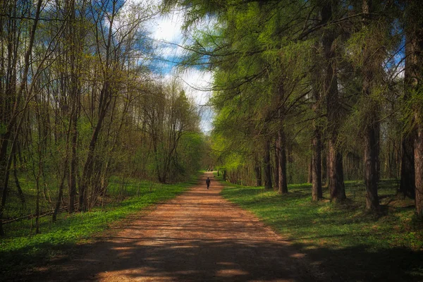 Jarní krajina s mužem kráčejícím po silnici. — Stock fotografie