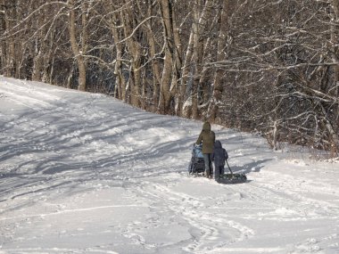 Çocuklar karlı bir kış parkında oynar, tepeye çıkarlar. Kış eğlencesi Tatiller.