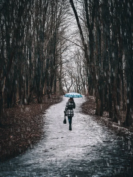 一个女人带着雨伞沿着弯曲的小径走在春天的公园里，被湿雪覆盖的轮廓。黑暗的声音 — 图库照片