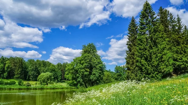 Alpejska łąka, atmosferyczny krajobraz majestatycznej przyrody. Malowniczy krajobraz górski. Wspaniałe dzikie krajobrazy — Zdjęcie stockowe