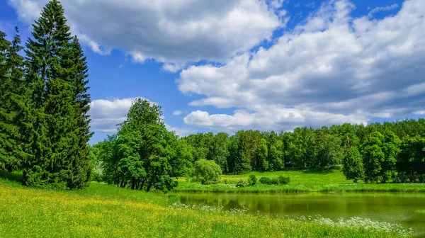 Alpejska łąka, atmosferyczny krajobraz majestatycznej przyrody. Malowniczy krajobraz górski. Wspaniałe dzikie krajobrazy — Zdjęcie stockowe