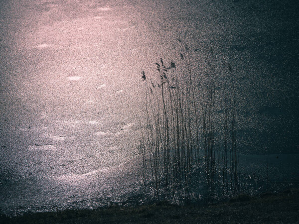 Яркий естественный фон с солнечным светом на поверхности замёрзшего озера и бушем тростника на берегу. Минималистический ландшафт
.