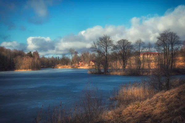 Vakkert fargemiljø med en blå innsjø dekket med is og trær tidlig på våren. – stockfoto