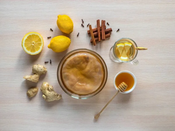 Kombucha schimmel met gemberwortel, honing en citroen. — Stockfoto