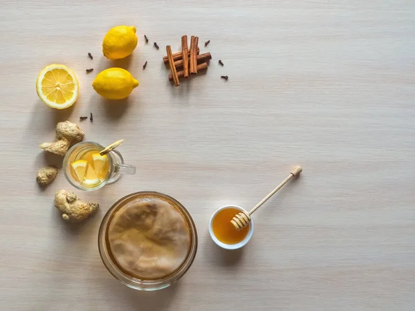 Kombucha schimmel met gemberwortel, honing en citroen. — Stockfoto