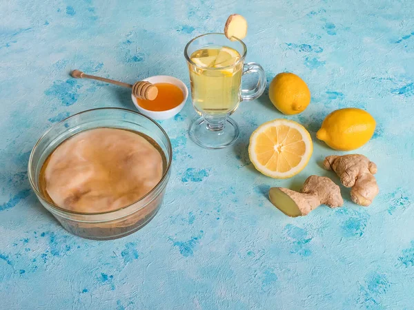 Kombucha schimmel met gemberwortel, honing en citroen. Antivirale drank — Stockfoto