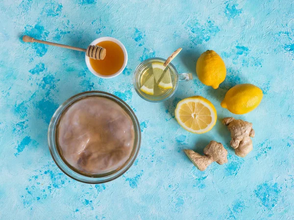 Kombucha schimmel met gemberwortel, honing en citroen. — Stockfoto