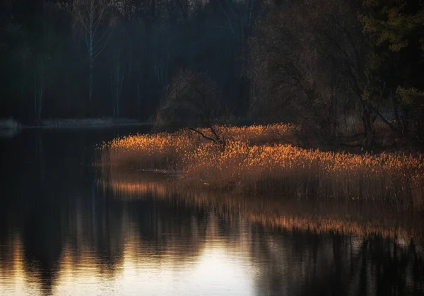 Spokojny krajobraz wieczorny z jeziorem wczesną wiosną — Zdjęcie stockowe