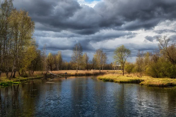 Ryskt vårlandskap med speglingar av träd i sjön — Stockfoto