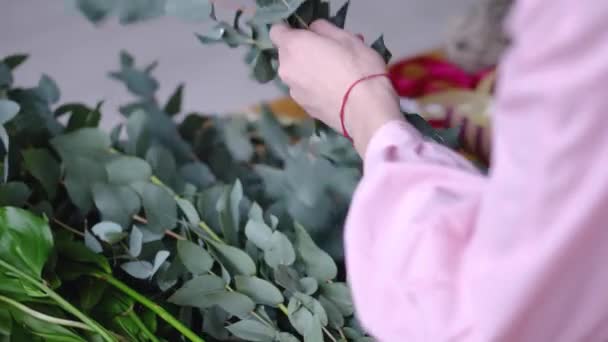Floristería chica elige eucalipto para la decoración. Primer plano. . — Vídeo de stock