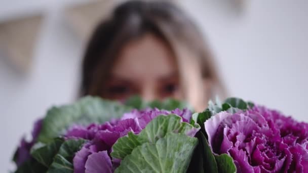 Kız çiçekçi yüzünü sonra çiçek - closeup dekoratif lahana Brassica gizler. — Stok video