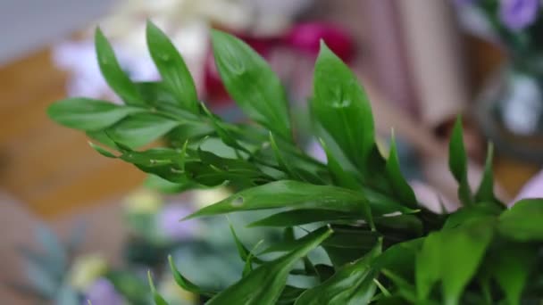 Fleuriste applique des légumes verts sur un bouquet — Video