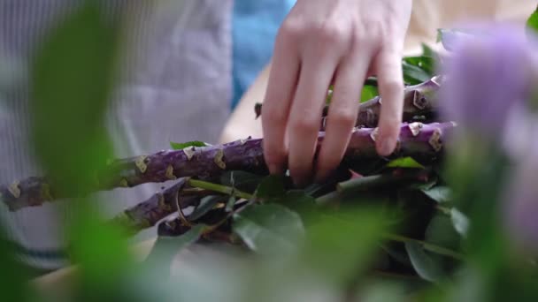 Primo piano fiorista femminile taglio grosso ramo con potatore — Video Stock