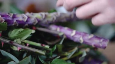 Yakın: profesyonel çiçekçi biter dalları çiçek düzenleme için keser