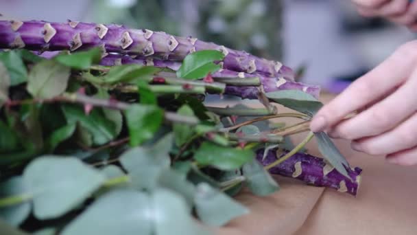 Közelkép a virágárus kezek vágás túlzott ágak virág elrendezése — Stock videók