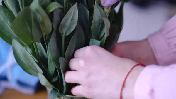 Att sätta vackra blommor i en vas att ytterligare skapa en bukett för en gåva — Stockfoto