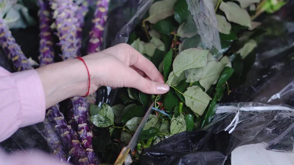 Närbild bild av florist på jobbet: kvinnan klipper paketerade rosor i en blomsteraffär — Stockfoto