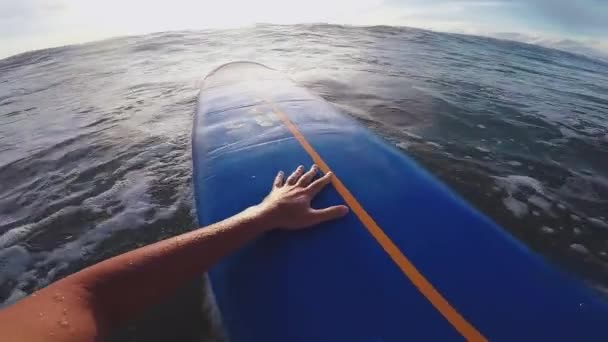 FPV slowmo: surfer träder havet på en magnifik solnedgång med en surfbräda — Stockvideo