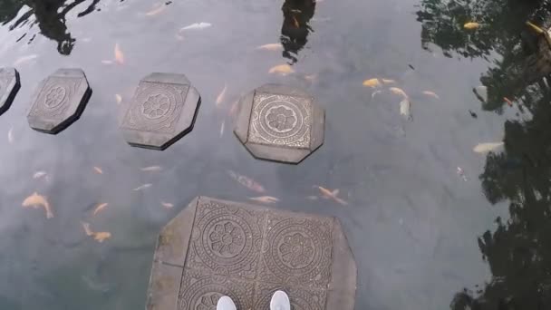 Fpv Draufsicht: Touristen spazieren entlang schöner Platten in einem Teich mit Karpfen. Wasserpalast tirta gangga bali — Stockvideo