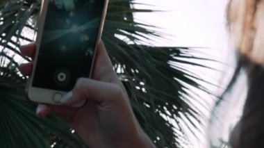 Bir telefon kullanan kız güneş ışınları bir palmiye ağacının dalları ile vuruyor