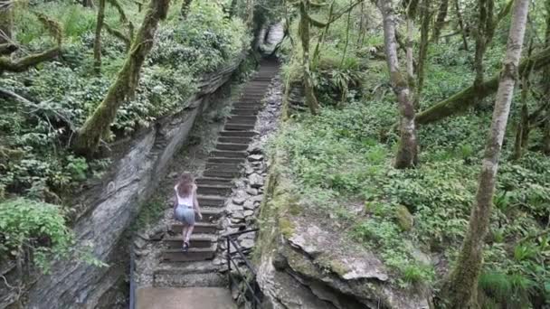 Girl climbs the stairs in the rain forest — Stock Video