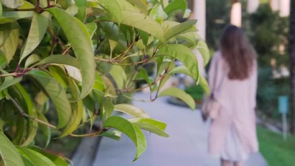 Joven chica con estilo entra en la distancia en un hermoso parque nocturno — Vídeos de Stock