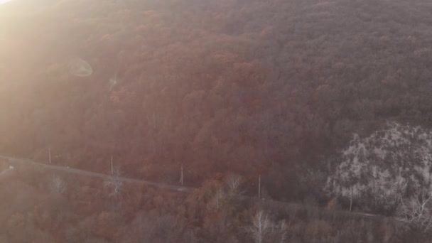 Пустая железная дорога в горах между деревьями осенью. Красивый свет, вид с воздуха — стоковое видео