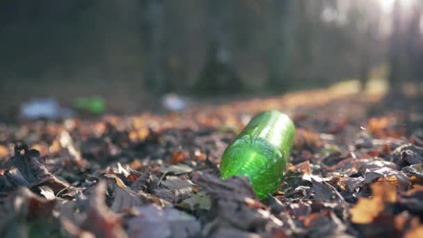 Botella de plástico en el primer plano del bosque de otoño. Tierra contaminada y ecología — Vídeos de Stock