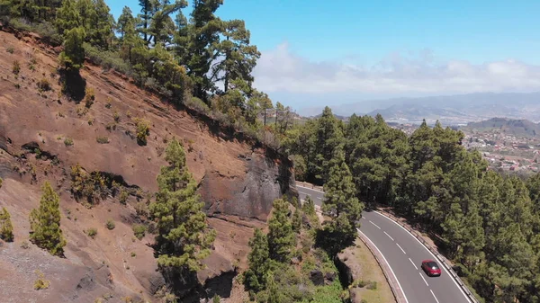 Ormanda uzun ağaçlarla yol, İspanya 'nın Tenerife dağlarında yılan. Araba tepe boyunca hareket ediyor, hava manzaralı. — Stok fotoğraf