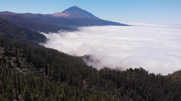 Havadan görünüm-kalın bulutlar vadi, çam ormanı ve yanardağ kapsar. Tenerife, Ispanya — Stok fotoğraf