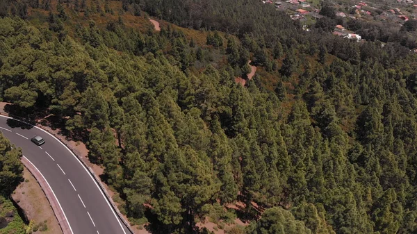 Birds eye view. Coniferous forest and a beautiful road in the mountains. Car travel through the trees high up the ridge