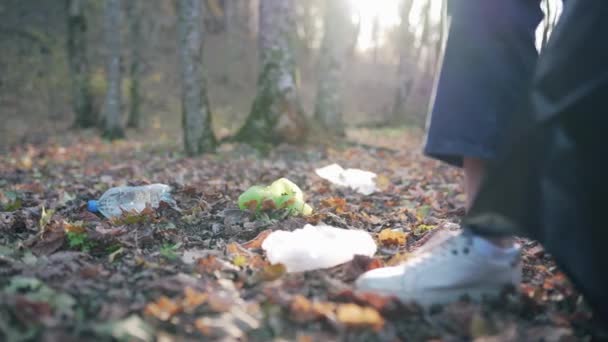 En kvinna samlar smutsigt skräp på fallna löv, närbild. Ekosystemförorening, plastavfall i skogen — Stockvideo