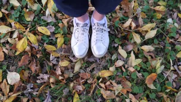 Femmes pieds en baskets blanches élégantes sur de belles feuilles tombées, vue d'en haut. Saison d'automne, feuillage couvre la terre — Video