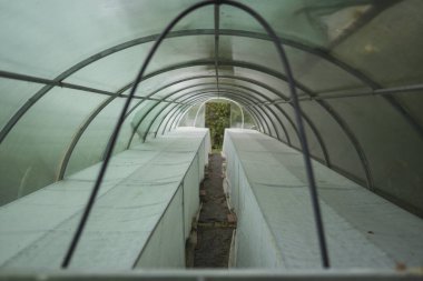 Seranın içindeki ürünlerin üretimi. Her koşulda mikroklima. Organik temiz ve sağlıklı gıdaların endüstriyel üretimi