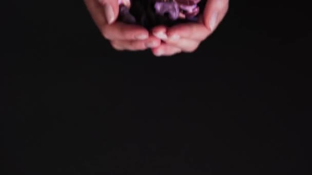 Las manos de las mujeres muestran flores secas sobre un fondo negro. Aromaterapia en las palmas. El concepto de bienestar e ingredientes naturales para la calma — Vídeos de Stock