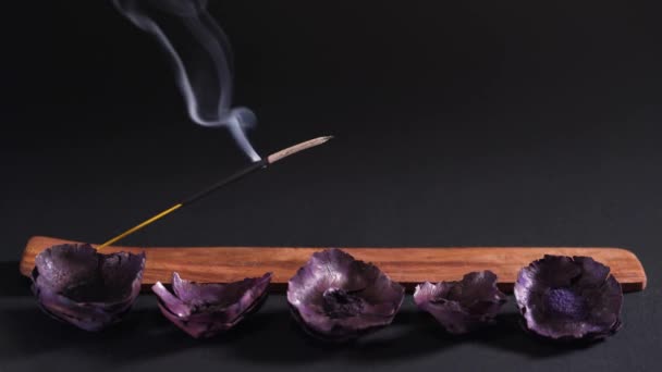 Eastern aromatherapy. Dry flowers and steaming incense on a dark background — 图库视频影像