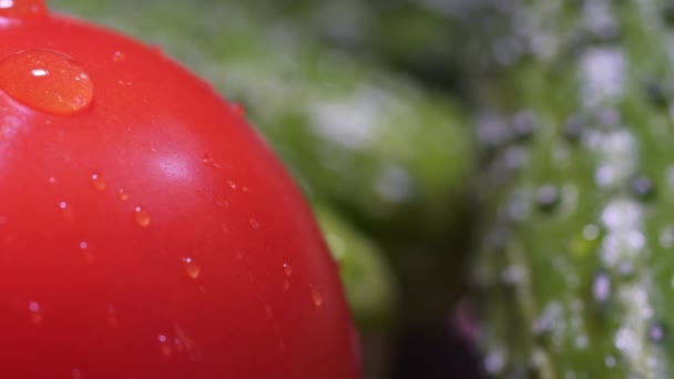 A drop of water flows down the red fresh tomato. A static macro shot. Green cucumbers in the background, beautiful vegetables close up, healthy lifestyle — Stockvideo