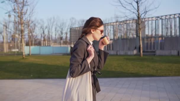 Mujer de negocios va de compras después de trabajar con la bolsa de algodón ecológico a través del parque — Vídeos de Stock