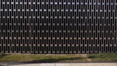 Boş zamanlarını parkta geçir ve işe ara ver. İş kadını kahve içer ve parkta duvar boyunca yürür.