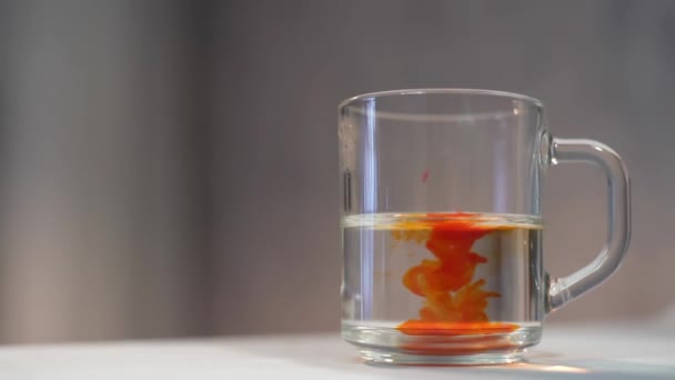 Fügen Sie dem Wasser auf grauem Hintergrund orangefarbene Lebensmittelfarbe hinzu. Buntes Farbstoff in einem transparenten Glasbecher — Stockvideo