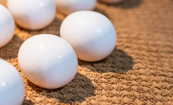 Pure white chicken eggs lie on a brown towel, close-up. Easter eggs washed underwater, before decorating — Stock Photo, Image