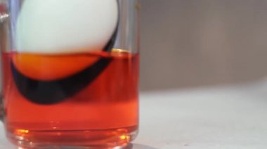 Bayram için Paskalya yumurtalarını boyuyorum. Adam boyaya beyaz tavuk yumurtası koyar, yakın plan.